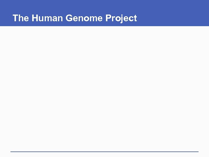 The Human Genome Project 
