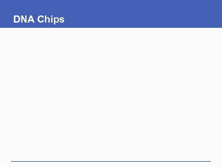 DNA Chips 