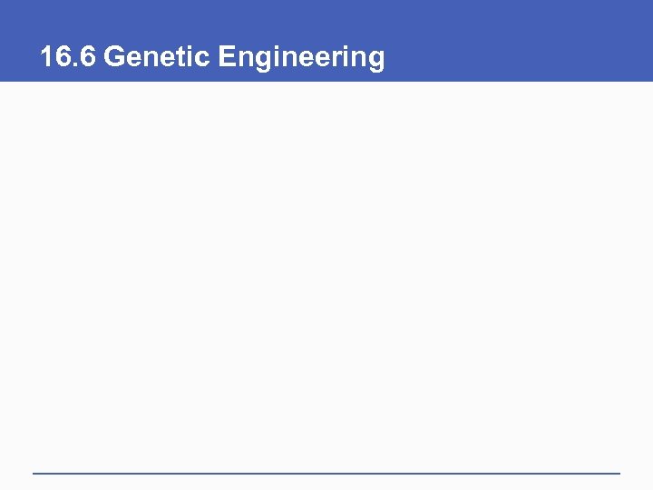 16. 6 Genetic Engineering 