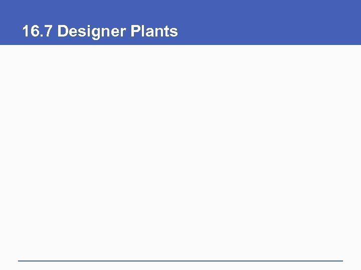 16. 7 Designer Plants 