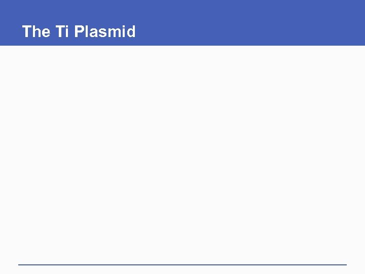 The Ti Plasmid 
