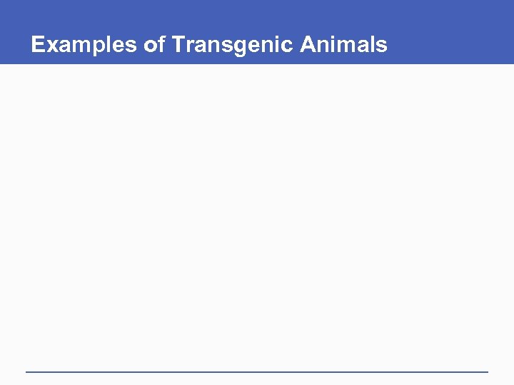 Examples of Transgenic Animals 