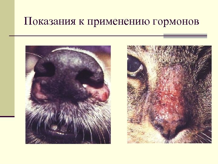 Показания к применению гормонов 