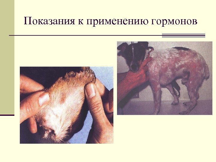 Показания к применению гормонов 