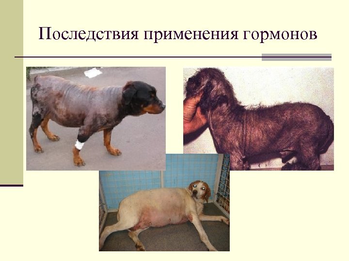 Последствия применения гормонов 