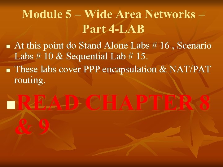 Module 5 – Wide Area Networks – Part 4 -LAB n n At this