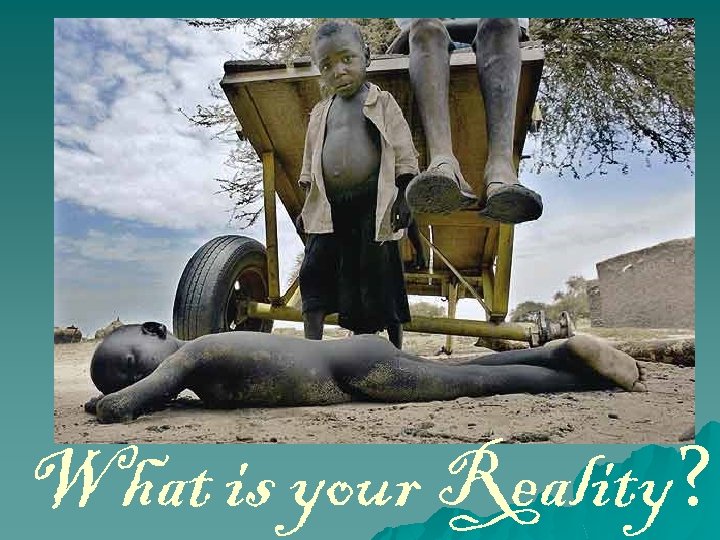 What is your Reality? 