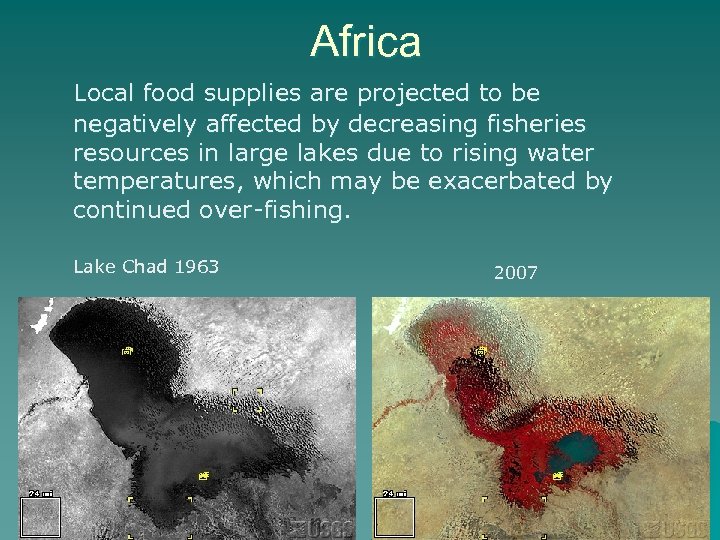 Africa Local food supplies are projected to be negatively affected by decreasing fisheries resources