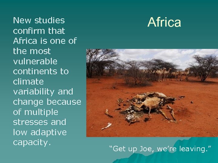 New studies confirm that Africa is one of the most vulnerable continents to climate
