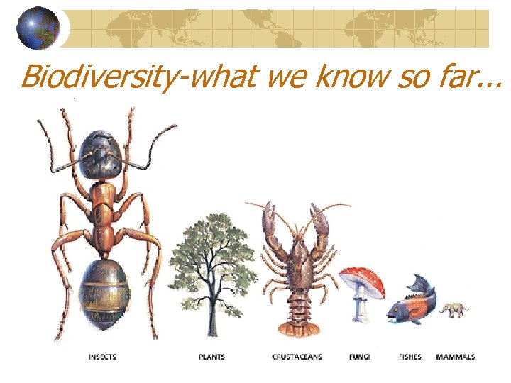 Biodiversity-what we know so far. . . 