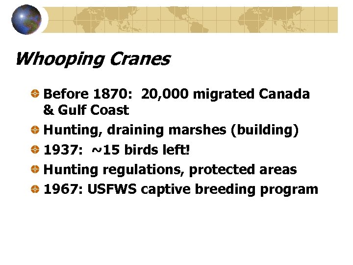 Whooping Cranes Before 1870: 20, 000 migrated Canada & Gulf Coast Hunting, draining marshes