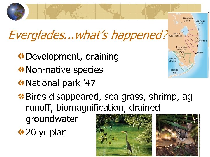 Everglades. . . what’s happened? Development, draining Non-native species National park ’ 47 Birds
