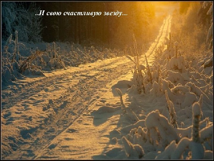 . . . И свою счастливую звезду. . 