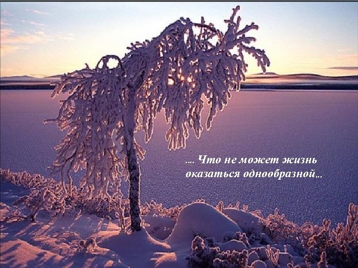 . . Что не может жизнь оказаться однообразной. . . 