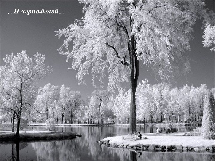 . . . И черно-белой. . 