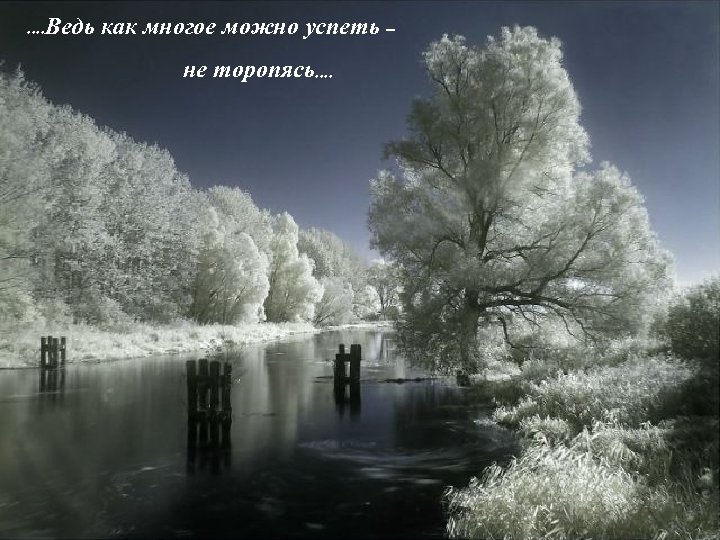 . . Ведь как многое можно успеть – не торопясь. . 