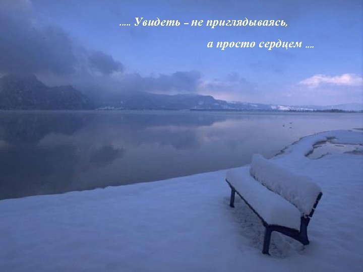 . . . Увидеть – не приглядываясь, а просто сердцем. . 