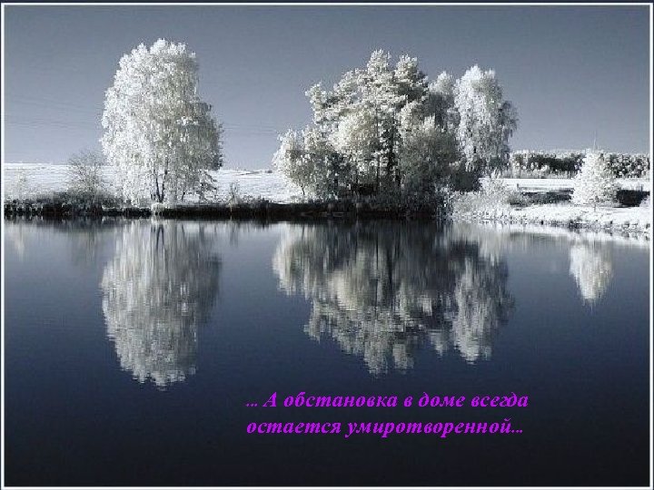 . . . А обстановка в доме всегда остается умиротворенной. . . 