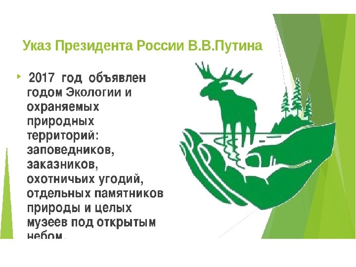 Год экологии. 2017 Год год экологии. Год экологии в России. Год экологии в России 2017 логотип. Год экологии горный улус.