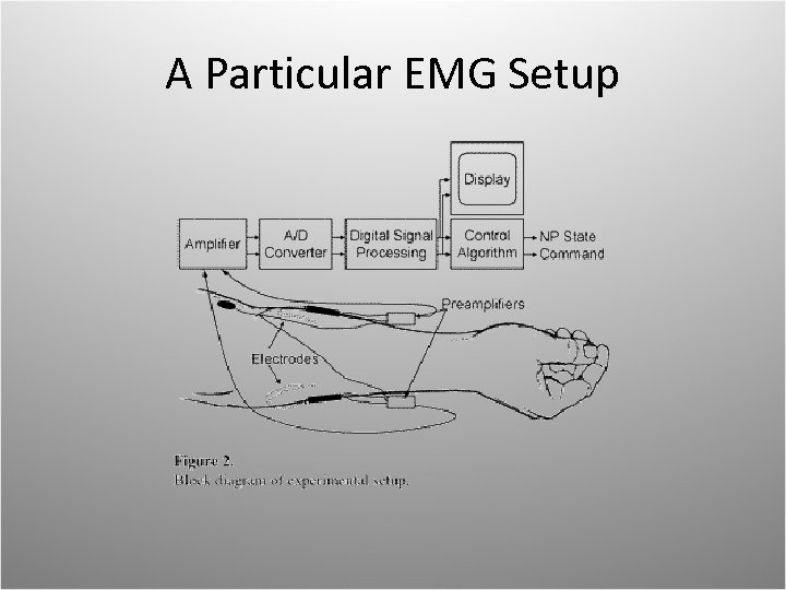 A Particular EMG Setup 