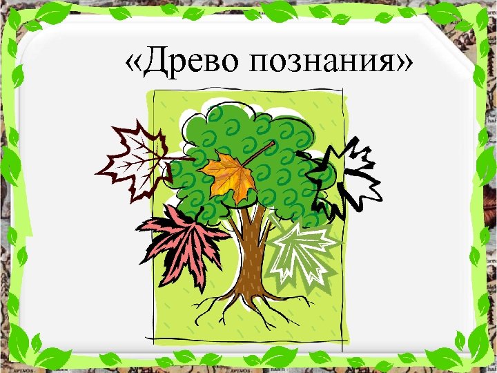  «Древо познания» 