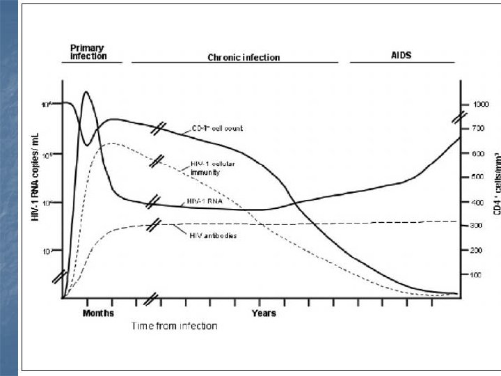 PRIMOINFECCIÓN n n Luego de la transmisión el virus replica en la mucosa, la
