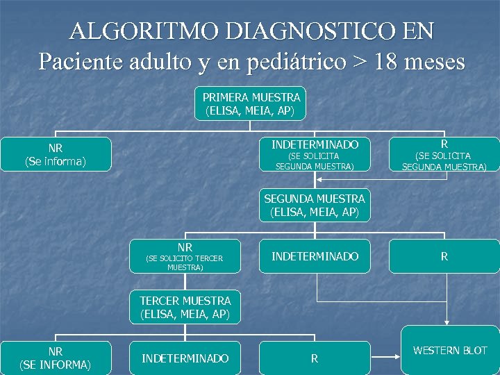 ALGORITMO DIAGNOSTICO EN Paciente adulto y en pediátrico > 18 meses PRIMERA MUESTRA (ELISA,