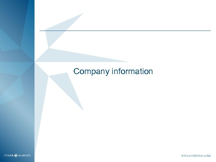 Company information 