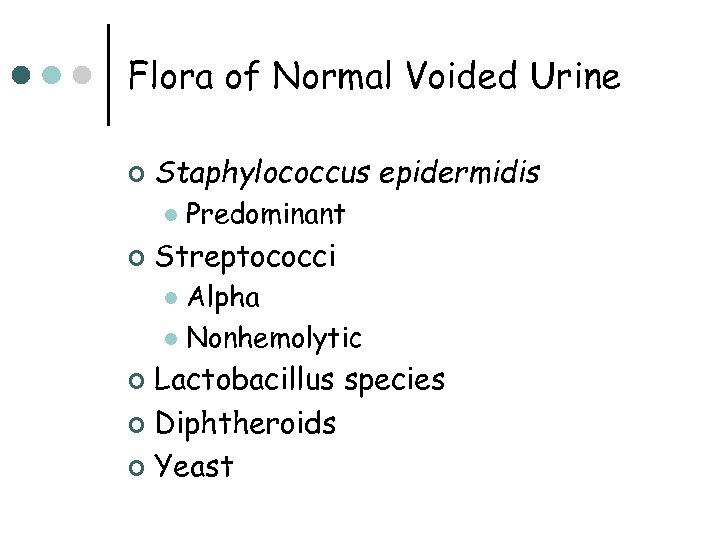 Flora of Normal Voided Urine ¢ Staphylococcus epidermidis l ¢ Predominant Streptococci Alpha l