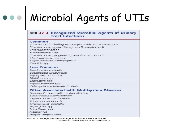 Microbial Agents of UTIs 