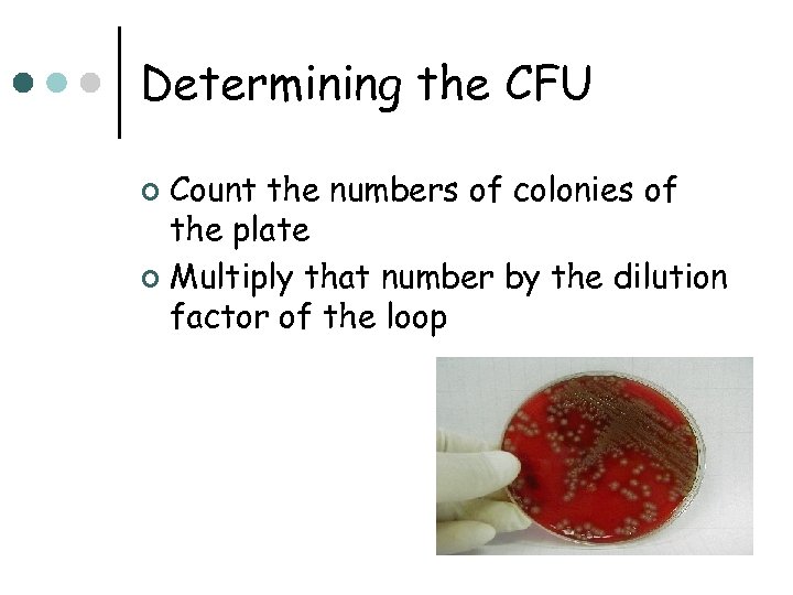 Determining the CFU Count the numbers of colonies of the plate ¢ Multiply that