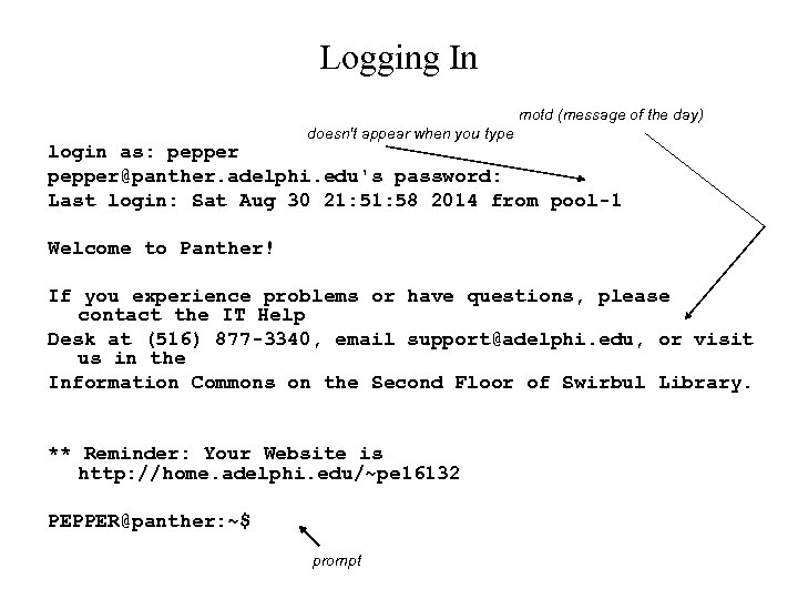 Logging In motd (message of the day) doesn't appear when you type login as: