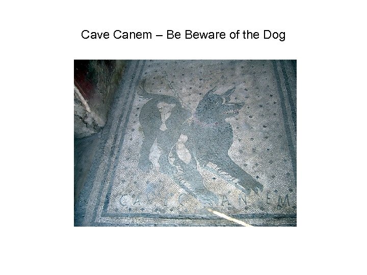 Cave Canem – Be Beware of the Dog 