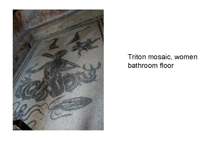 Triton mosaic, women bathroom floor 