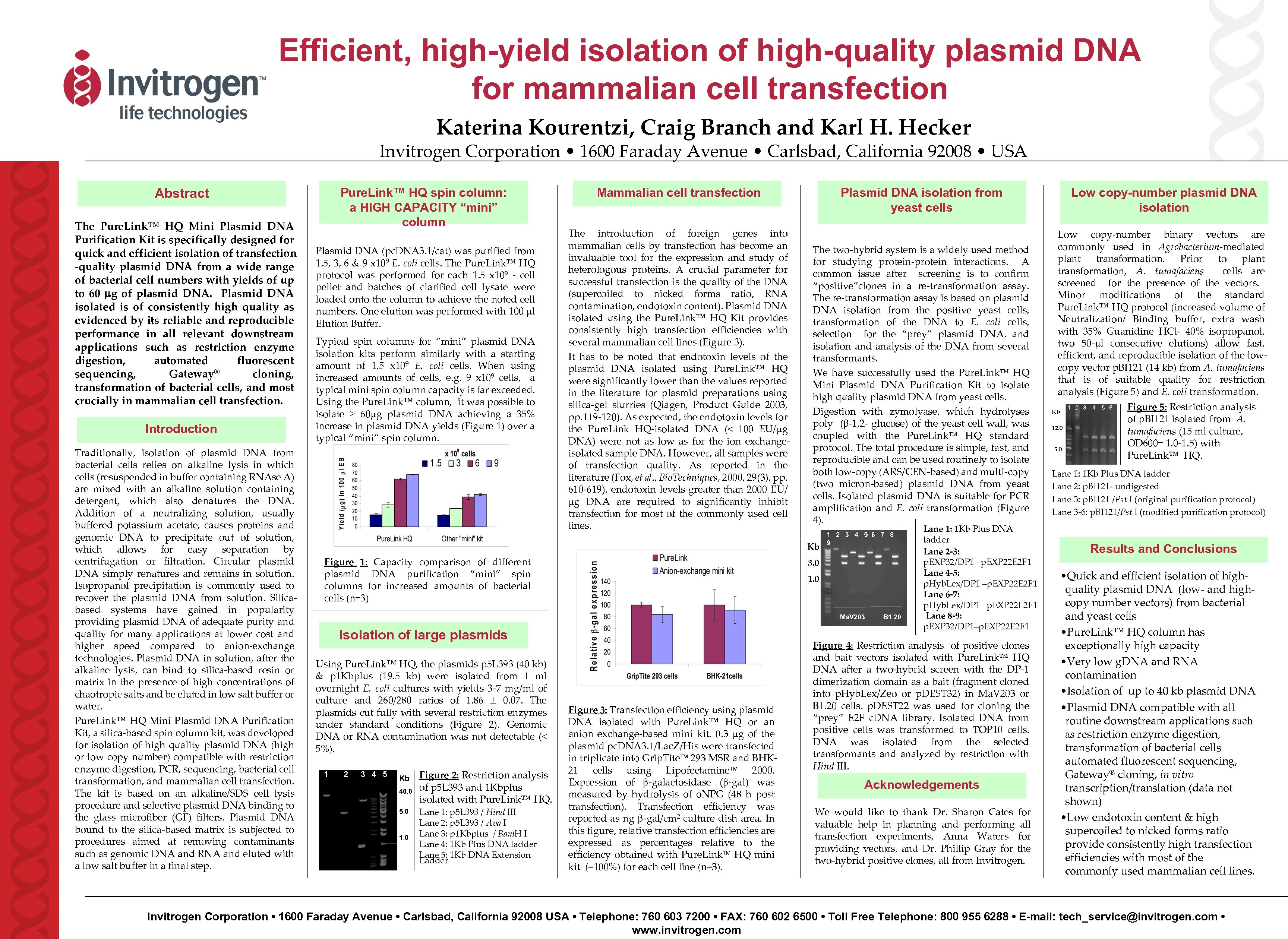 Efficient, high-yield isolation of high-quality plasmid DNA for mammalian cell transfection Katerina Kourentzi, Craig