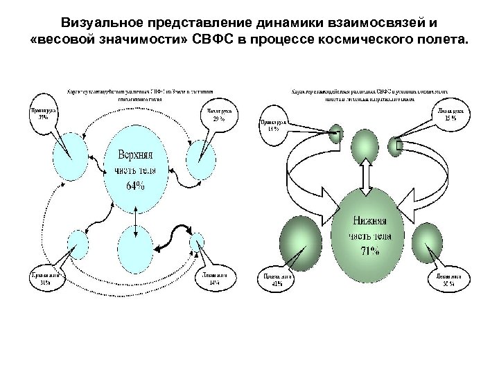 Визуальное представление динамики взаимосвязей и «весовой значимости» СВФС в процессе космического полета. 