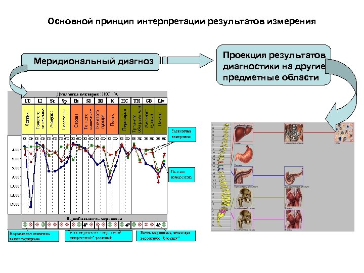 Основной принцип интерпретации результатов измерения Меридиональный диагноз Проекция результатов диагностики на другие предметные области