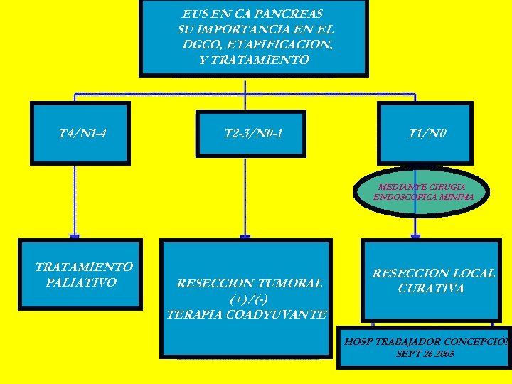 EUS EN CA PANCREAS SU IMPORTANCIA EN EL DGCO, ETAPIFICACION, Y TRATAMIENTO. T 4/N