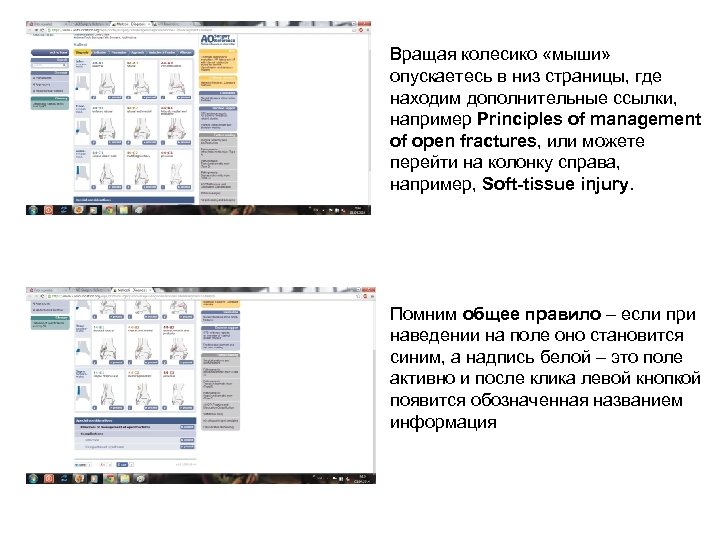 Вращая колесико «мыши» опускаетесь в низ страницы, где находим дополнительные ссылки, например Principles of