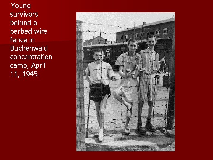  Young survivors behind a barbed wire fence in Buchenwald concentration camp, April 11,