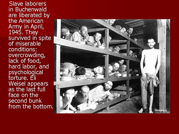  Slave laborers in Buchenwald are liberated by the American Army in April, 1945.