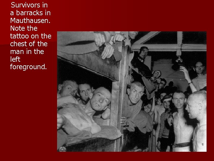  Survivors in a barracks in Mauthausen. Note the tattoo on the chest of