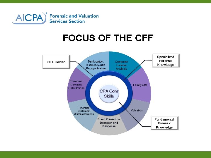 FOCUS OF THE CFF 