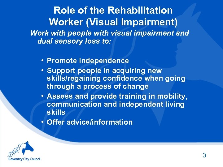 Role of the Rehabilitation Worker (Visual Impairment) Work with people with visual impairment and