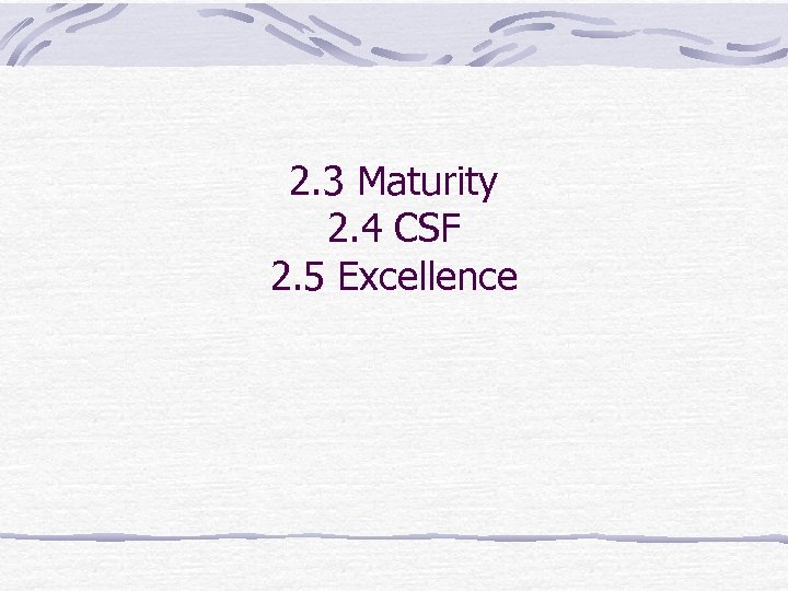 2. 3 Maturity 2. 4 CSF 2. 5 Excellence 