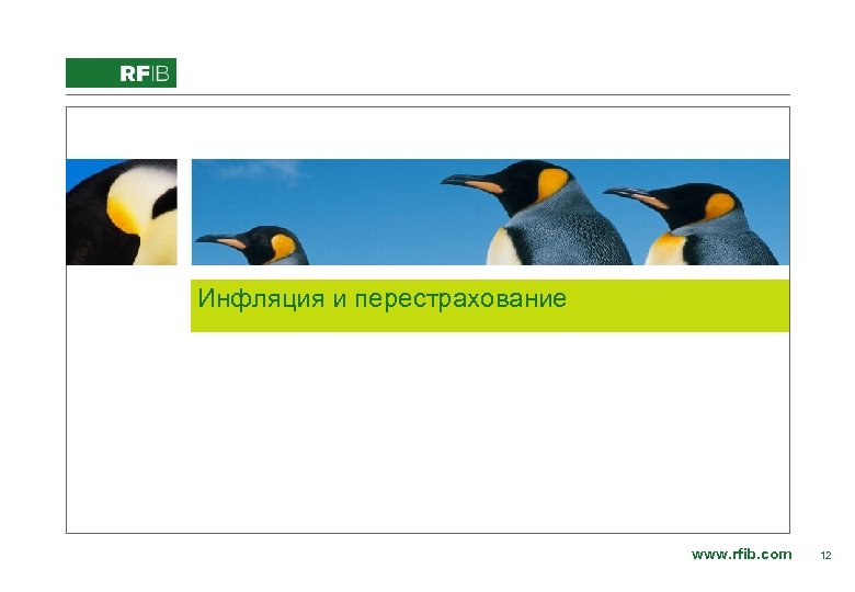 Add image here from RFIB Image Library. ppt Инфляция и перестрахование www. rfib. com