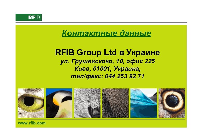Контактные данные RFIB Group Ltd в Украине ул. Грушевского, 10, офис 225 Киев, 01001,