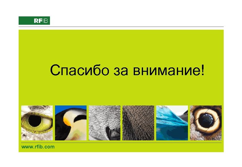 Спасибо за внимание! www. rfib. com 