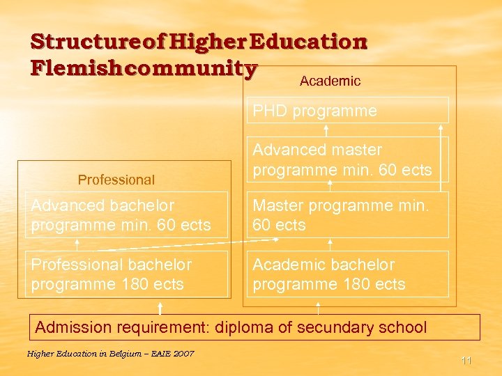 Structure of Higher Education : Flemish community Academic PHD programme Professional Advanced master programme