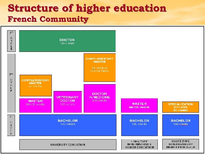 Structure of higher education French Community 12 